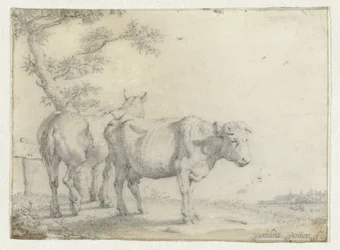 Horse and a Cow by a Tree