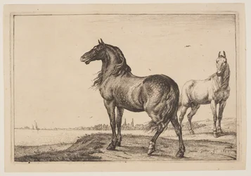 The Cropped Horse, from Series of Horses