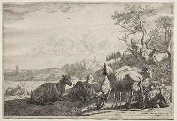 The Shepherd