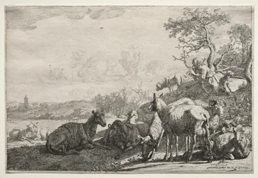 The Shepherd