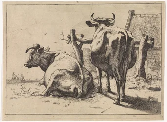 Two Cows Seen from Behind (Het Bullenboekje)