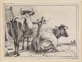 Two Cows Seen from Behind