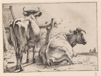 Two Cows Seen from Behind, from Various Oxen and Cows