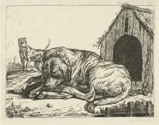 Dog Lying on a Chain, Various Dogs (series title)
