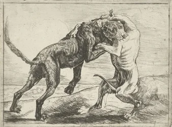 Two Fighting Dogs (Dogs)