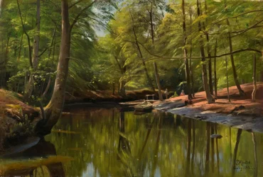 Summer Day by the Forest Stream