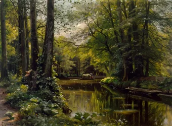Summer in Spreewald