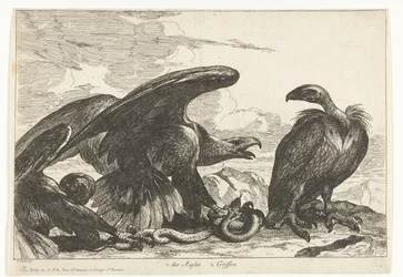 Vulture and an Eagle with a Snake (Birds from the Menagerie of Versailles)