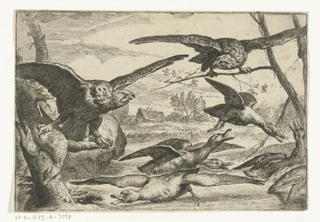 Birds of Prey