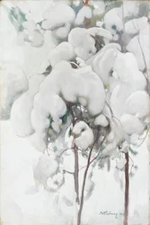 Snow-Covered Pine Saplings