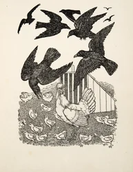 A Calculating Crow