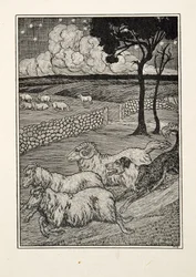 A Canine Sheep Stealer