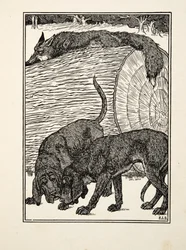 Cunning as a Fox