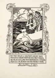 The Dolphin