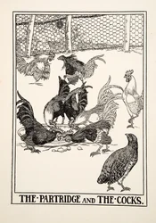 The Partridge and the Cocks, from A Hundred Fables of Aesop