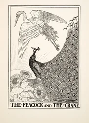 The Peacock and the Crane, from A Hundred Fables of Aesop