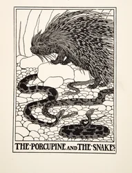 The Porcupine and the Snakes, from A Hundred Fables of Aesop, published 1903