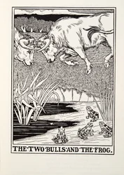 The Two Bulls and the Frog, from Fontaine Fables