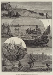 Our Fishing Industries, Mackerel Fishing at Eastbourne