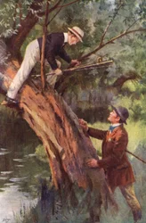 Now, You Come Down This Minute