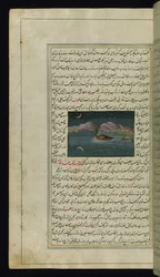 A Goose and a Reflection of the Moon in the Water from Lights of Canopus