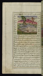 A Heron, a Crab, and a Fish from Lights of Canopus