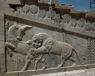 Fight between a bull and a lion - Reliefs of the eastern staircase of the Apadana
