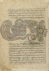 The Sea-Serpent Dragon, Folio from Wonders of Creation by al-Qazvini