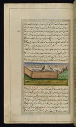 Two pigeons and a supply of grain from Lights of Canopus