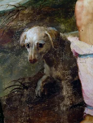 Dog (detail)