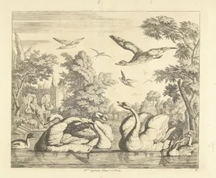 Three Swans and Other Birds by a Pond (Various Birds)