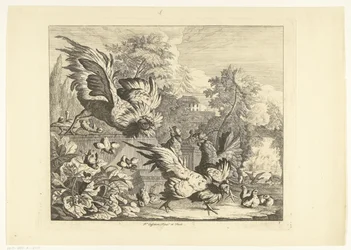 Cockfight Various Birds (series title)