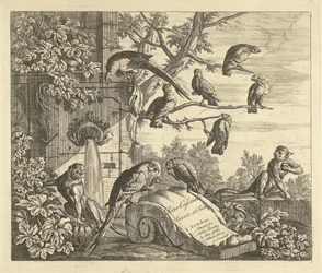 Parrots and Monkeys by a Garden Fountain, Various Birds (series title)