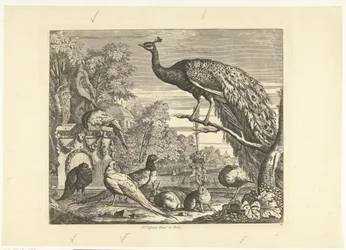 Peacock, Rabbits and Other Birds at a Garden Fountain Various Birds (series title)