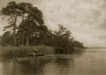 The Haunt of the Pike, c.1886