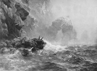 Where Nought Is Heard But Lashing Wave And Sea-Birds Cry