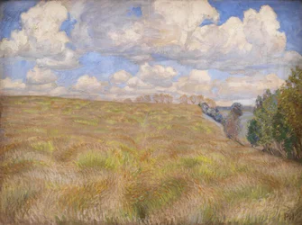 A Field of Waving Rye