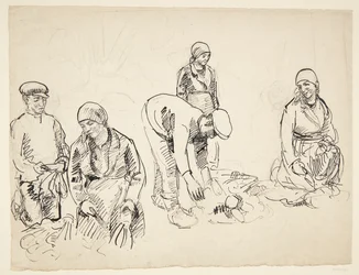 Beet Harvesters. Study Sheet