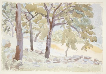 Outskirts of a Forest