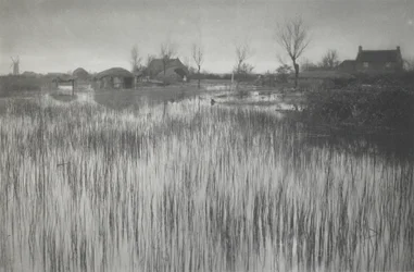 A Rushy Shore
