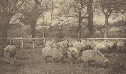 An Autumn Pastoral