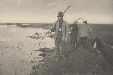 Coming Home from the Marshes