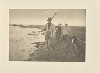 Coming Home from the Marshes