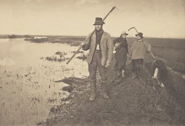Coming Home from the Marshes