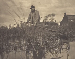 Cutting the Gladdon