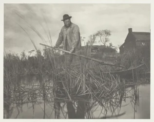 Cutting the Gladdon