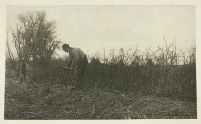 Fencing in Suffolk