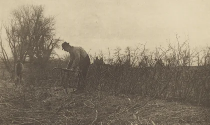 Fencing in Suffolk