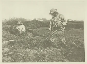 Furze-Cutting on a Suffolk Common