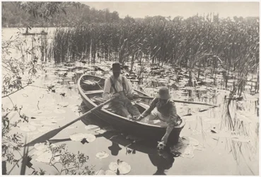 Gathering Water-Lilies